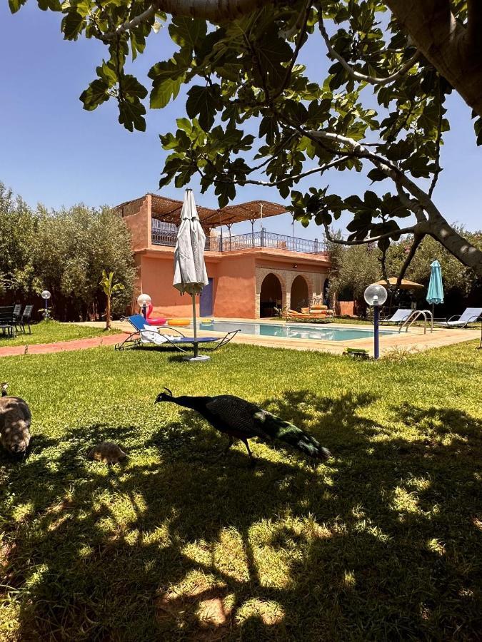 Villa Ms Holidays Mika Privatisee Marrakech Marrakesh Exterior photo