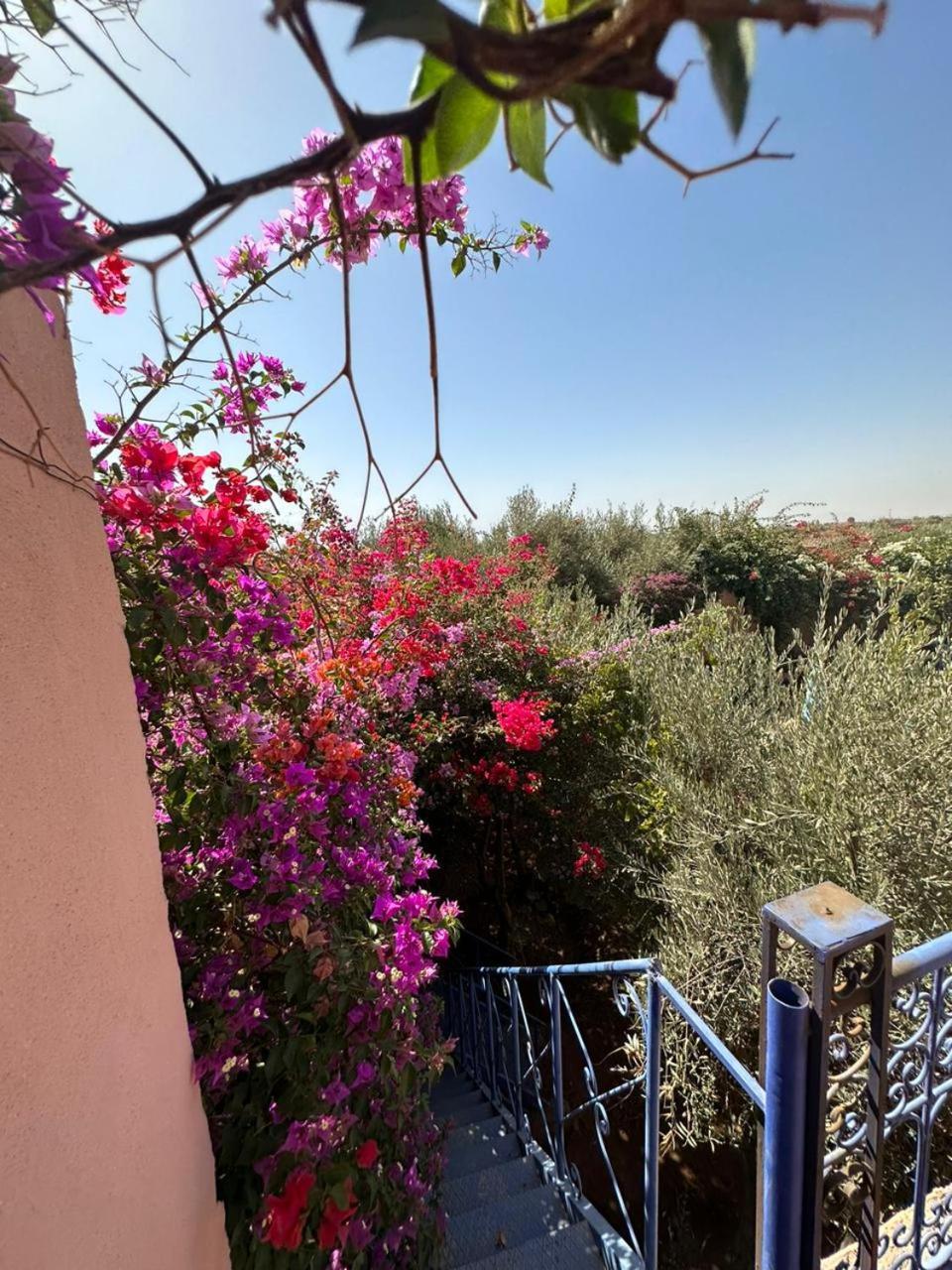 Villa Ms Holidays Mika Privatisee Marrakech Marrakesh Exterior photo